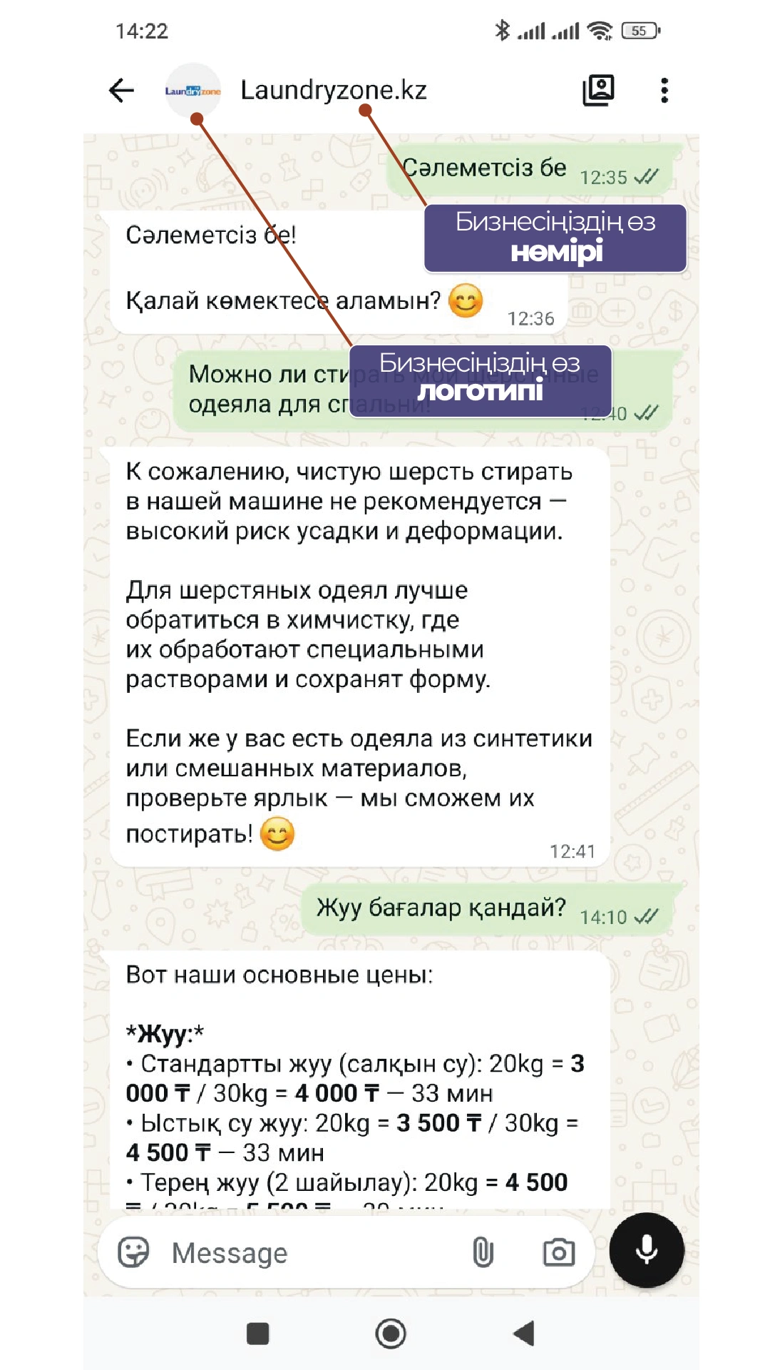 Мысал сурет — WhatsApp хат-хабары алдын ала қарау